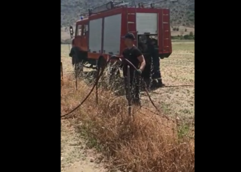 Zjarr në Gjirokastër, shkrumbohen rreth 1 hektar në Topullaraj (VIDEO)