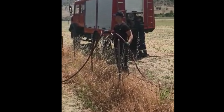 Zjarr në Gjirokastër, shkrumbohen rreth 1 hektar në Topullaraj (VIDEO)