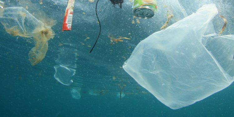 BE/ Hyn në fuqi ligji që ndalon përdorimin e produkteve plastike njëpërdorimëshe
