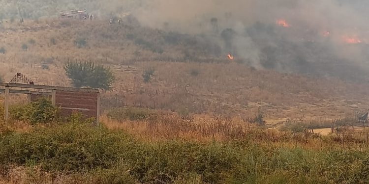 Zjarr i madh në Finiq, rrezikohen disa stane bagëtish (FOTO)