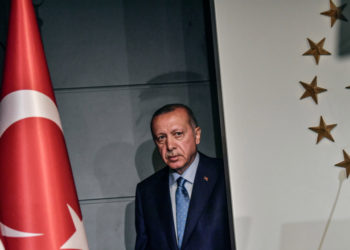 Zjarret në Turqi, Erdogan: Vijojnë përpjekjet për shuarjen e flakëve në 14 pyje