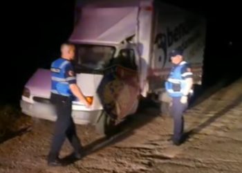 VIDEO/ Kapen dy hajdutë nga Tepelena, u nisën në Lushnnje për të vjedhur kamionçina (Emrat)