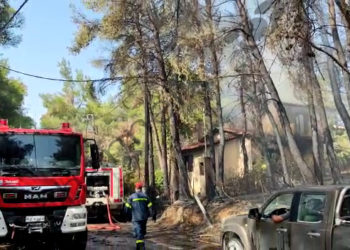 Zjarr masiv në Athinë, makina dhe shtëpi të shkrumbuara nga flakët (FOTO)