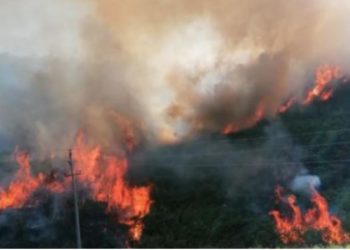 Vatër e madhe zjarri edhe në Përmet (FOTO)