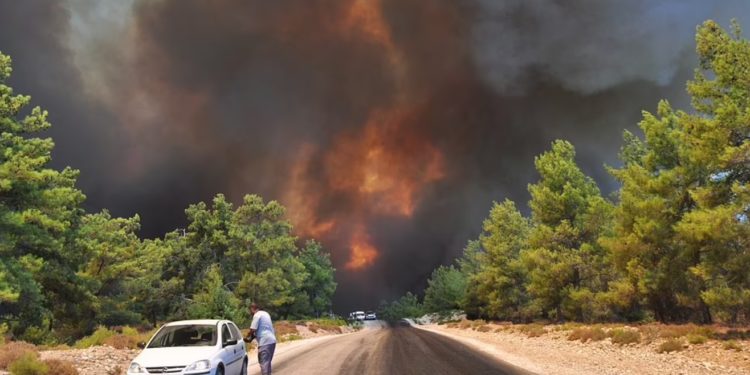 Shtëpi dhe pyje të shkrumbuara në Turqi, flakët pranë resorteve në Antalya