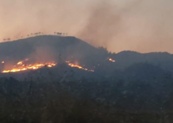 Zjarr në lartësitë e Ballabanit në Këlcyrë, digjen 10 hektarë kullota dhe 5 hektarë pyje