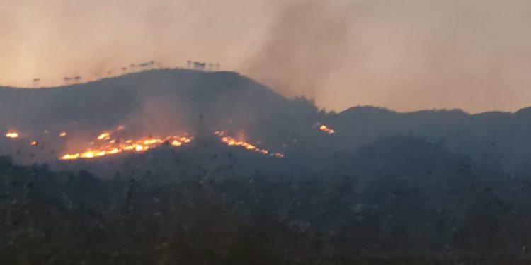 Zjarr në lartësitë e Ballabanit në Këlcyrë, digjen 10 hektarë kullota dhe 5 hektarë pyje