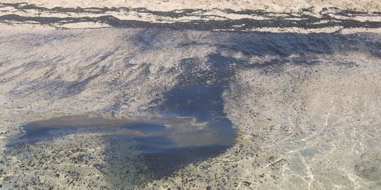 Pamje të pazakonta/Plazhet në Greqi pushtohen nga llumi pas zjarreve të shumta (VIDEO)