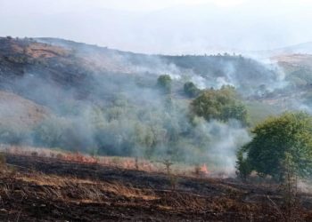 Arrestohet 59-vjeçari në Gjirokastër, krijoi një vatër zjarri pasi i vuri flakën mbeturinave