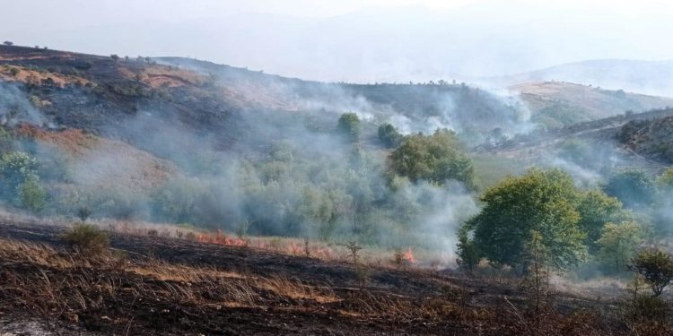 Arrestohet 59-vjeçari në Gjirokastër, krijoi një vatër zjarri pasi i vuri flakën mbeturinave