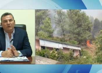 Vendi në gjendje emergjence nga zjarret, kreu i emergjencave civile me pushime: Kam familjen time, nevojat e mia. Detyrën ia kisha deleguar një drejtori