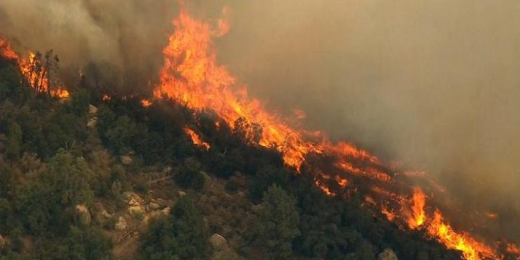 Një vatër e re zjarri në Gjirokastër