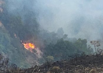 Gjirokastra nuk gjen qetesi, tjeter vater zjarri