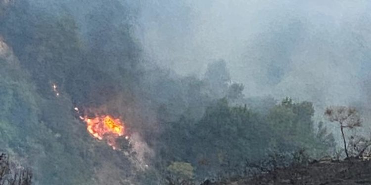 Gjirokastra nuk gjen qetesi, tjeter vater zjarri