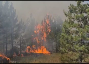 Zjarri në Himarë/Flakët përhapen në të gjithë zonën