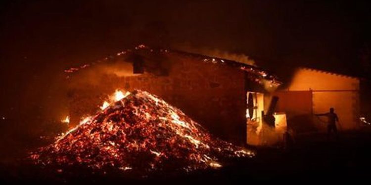 Zjarret në Greqi, qeveria jep 600 euro ndihmë direkte për qytetarët e prekur