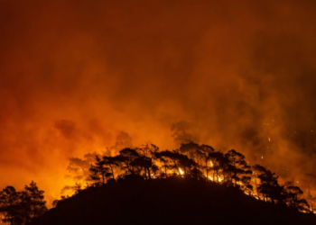 BE-ja ndihmon Turqinë në luftën me zjarret