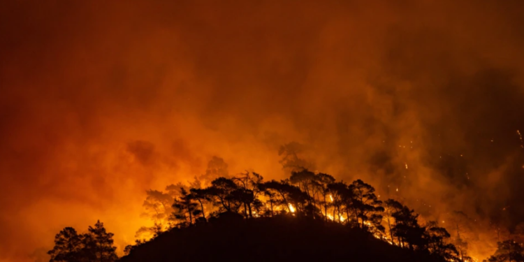 BE-ja ndihmon Turqinë në luftën me zjarret