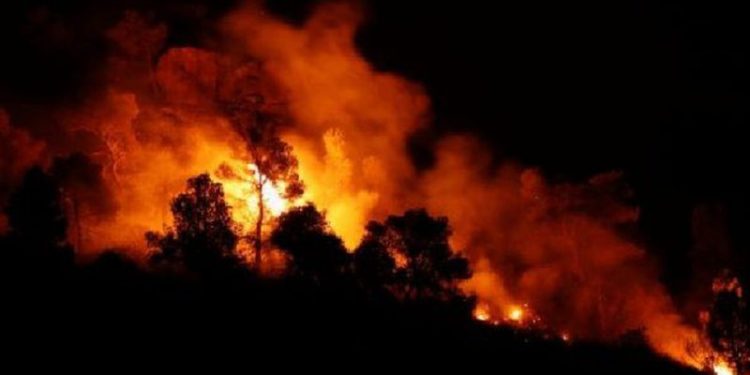 Vijon situata alarmante nga zjarri në Gjirokastër, mes errësirës policia dhe ushtria evakuojnë banorët e fshatit Arshi Lengo (VIDEO)