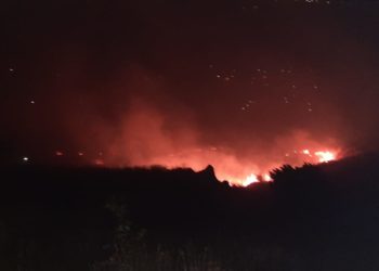 Zjarr i madh në Gjirokastër, rrezikohen banesat (FOTO)
