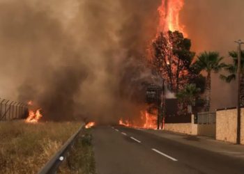 Del jashtë kontrolli zjarri në Greqi, bllokohen disa banorë dhe zjarrfikës. Kryeministri Mitsotakis niset me urgjencë drejt zonës së rrezikut
