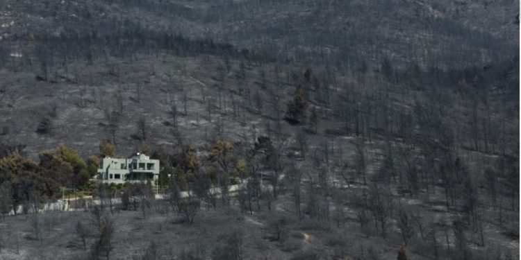 Zjarret në Greqi djegin më shumë se 650,000 hektarë tokë në të gjithë vendin