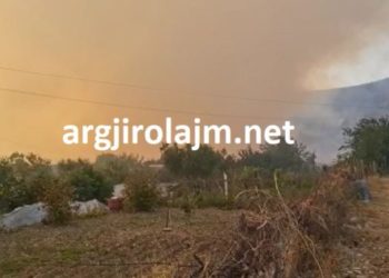 Vijon situata emergjente nga zjarri në Gjirokastër, në ndihmë të banorëve dhjetëra efektivë policie (VIDEO)
