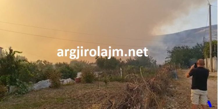 Vijon situata emergjente nga zjarri në Gjirokastër, në ndihmë të banorëve dhjetëra efektivë policie (VIDEO)