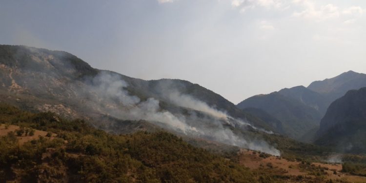 Zjarr në fshatin Zhulat të Gjirokastrës