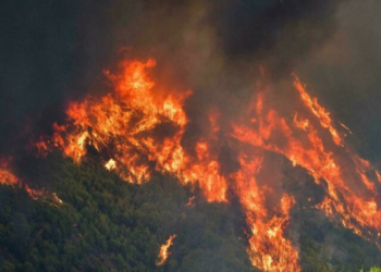 Bilanci i zjarreve në Greqi, rreth 900 mijë hektarë tokë të shkrumbuara