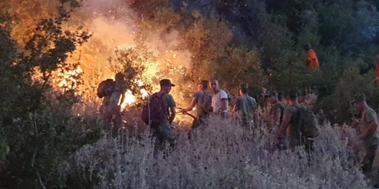 7 vatra zjarri aktive në vend, era përkeqëson situatën në Dukat e Kalimash (VIDEO)