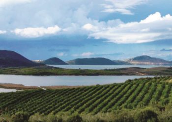 Kultivim kanabisi në Konispol, dy të arrestuar nga policia e Sarandës