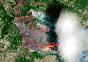 Situata me zjarret në Greqi/ BE ofron ndihmë: 700 punonjës, 9 avionë dhe 100 mjete