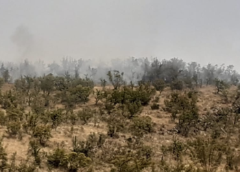 Vatër zjarri edhe në Gjirokastër