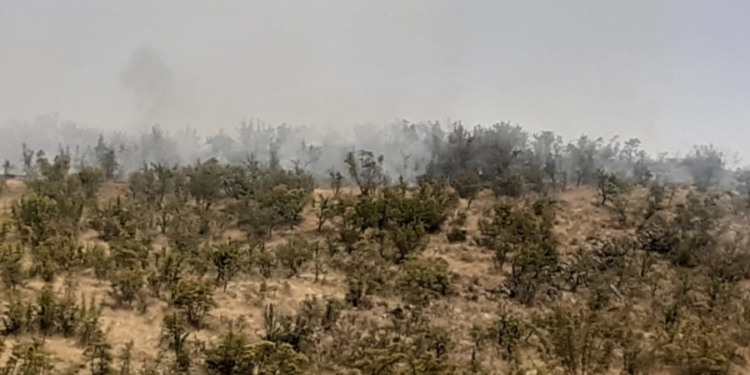 Vatër zjarri edhe në Gjirokastër