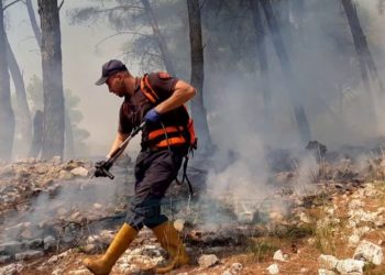 I vuri zjarrin një sipërfaqeje me tokë pyjore, procedohet penalisht autori në Dibër