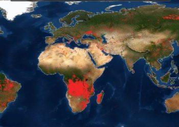 Toka “në flakë” / Harta e NASA-s tregon botën të shkatërruar nga zjarret