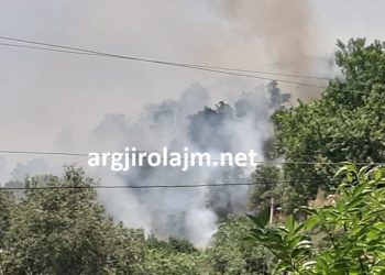 Vatër e madhe zjarri në Dropull, rrezikohen banesat në fshatin Radat (FOTO)