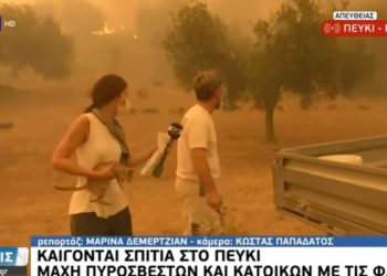 VIDEO/ Gazetarja greke shpëton macen nga zjarri gjatë transmetimit live
