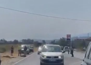 Aksident në aksin Gjirokastër-Tepelenë, makina përplas bagëtitë (VIDEO)