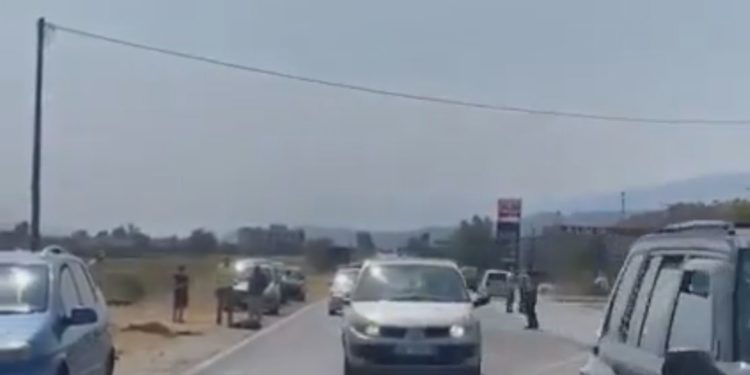 Aksident në aksin Gjirokastër-Tepelenë, makina përplas bagëtitë (VIDEO)
