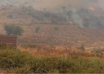 Situata nga zjarret në vend/Parandalohet katastrofa në lumin e Vlorës, rifillon ndërhyrja nga ajri në Karaburun