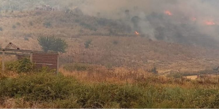 Situata nga zjarret në vend/Parandalohet katastrofa në lumin e Vlorës, rifillon ndërhyrja nga ajri në Karaburun