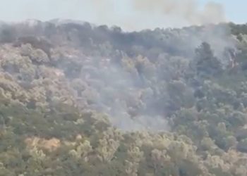 Finiq, zjarr i madh në fshatin Aliko, rrezikohen banesat (VIDEO)