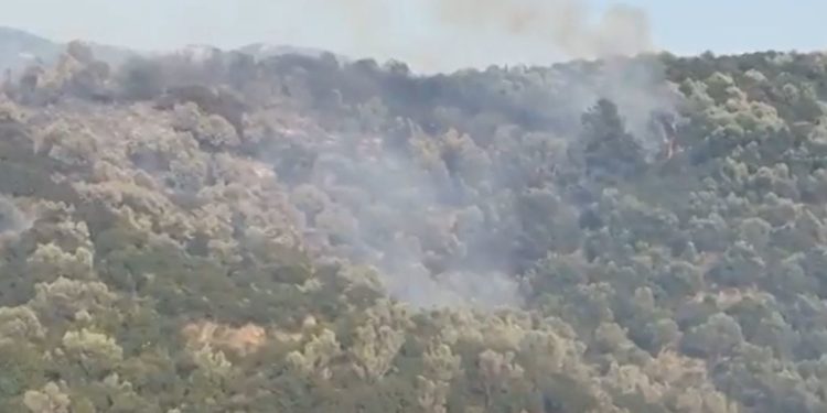 Finiq, zjarr i madh në fshatin Aliko, rrezikohen banesat (VIDEO)