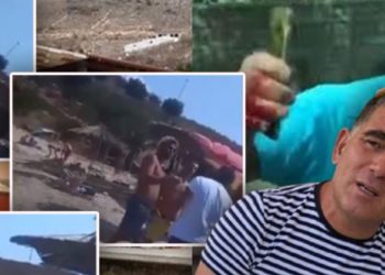 Tjetër VIDEO skandaloze, rishfaqet Mihal Kokëdhima, sherr me pushuesit… për plazhin publik