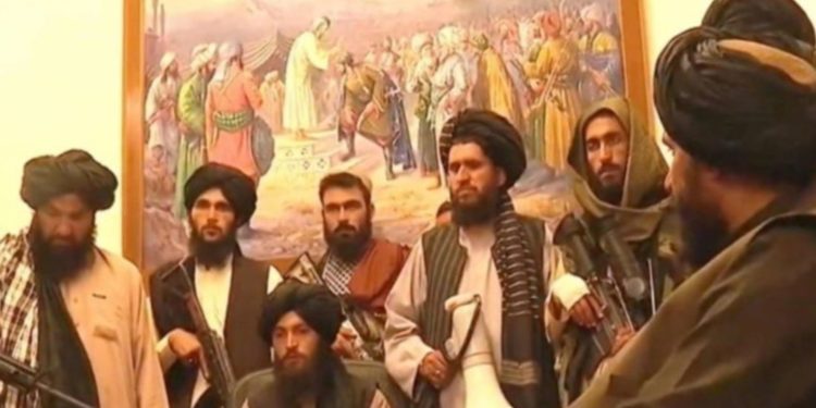 Talebanët shpallin amnisti për zyrtarët shtetërorë