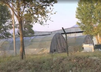 Sot mbërrijnë 300 afganët e parë në Shqipëri, ngrihen tenda në Rinas