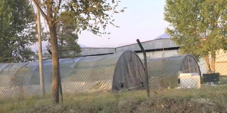 Sot mbërrijnë 300 afganët e parë në Shqipëri, ngrihen tenda në Rinas