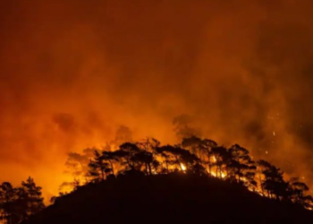 BE i ofron ndihmë Turqisë në luftën me zjarret